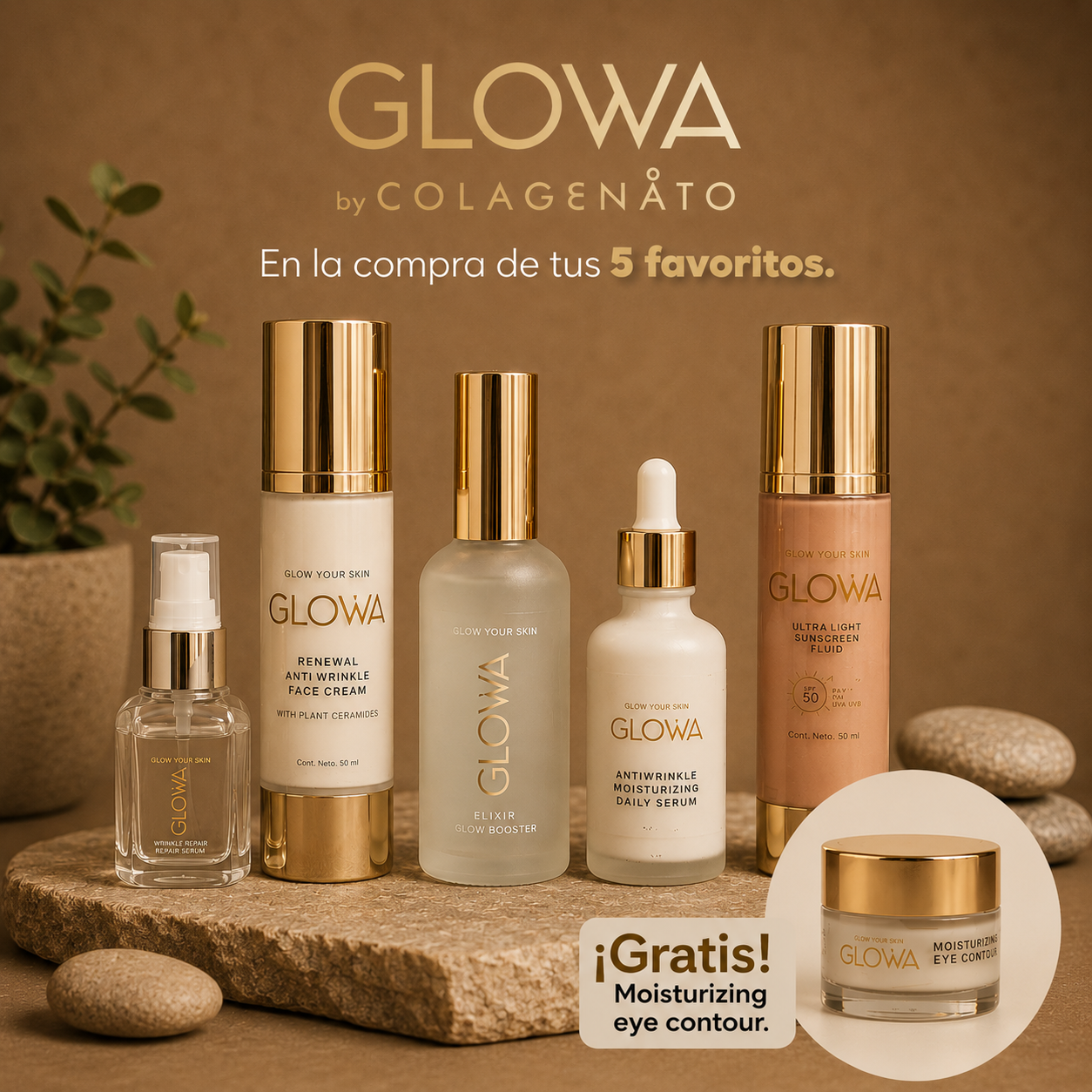 Escoge tus 5 productos favoritos