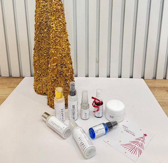 KIT DE VIAJE NAVIDEÑO